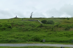 P1050959